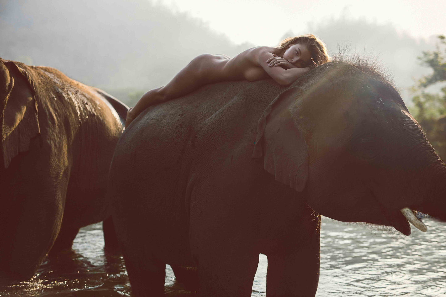 Water for elephants
