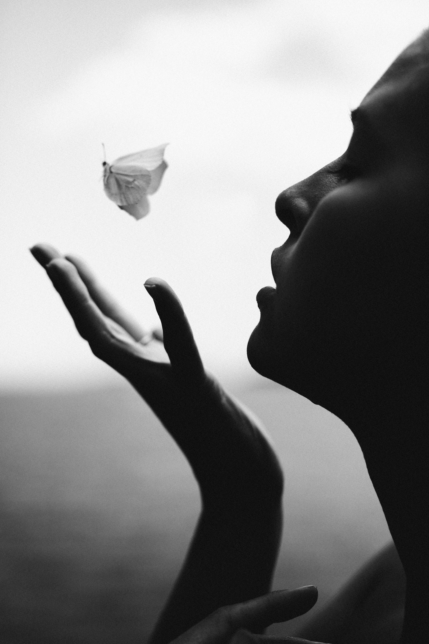 Fly me to the moon